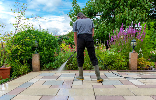 Best Sidewalk and Walkway Pressure Cleaning in Kearny, AZ